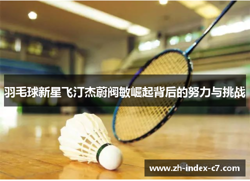 羽毛球新星飞汀杰蔚阀敏崛起背后的努力与挑战
