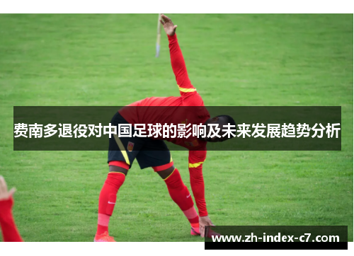 费南多退役对中国足球的影响及未来发展趋势分析 费南多退役对中国足球的影响及未来发展趋势分析