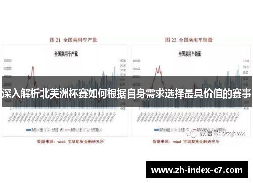 深入解析北美洲杯赛如何根据自身需求选择最具价值的赛事