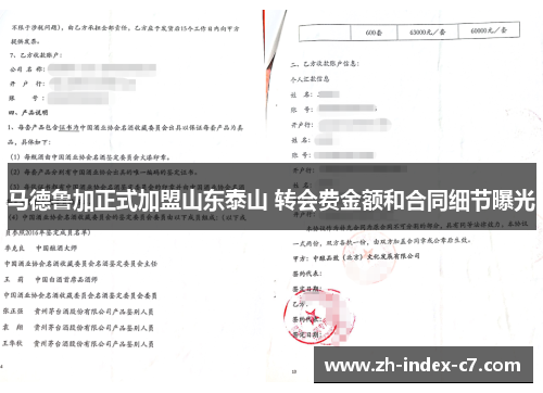 马德鲁加正式加盟山东泰山 转会费金额和合同细节曝光
