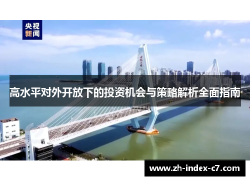 高水平对外开放下的投资机会与策略解析全面指南