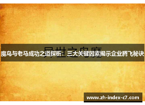 魔鸟与老马成功之道探析：三大关键因素揭示企业腾飞秘诀
