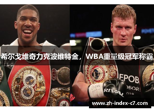 希尔戈维奇力克波维特金，WBA重量级冠军称霸